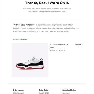 Air Jordan 11 retro low shoe